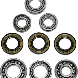 Differential Bearing/Seal Kit - Rear