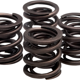 Valve Springs - XL