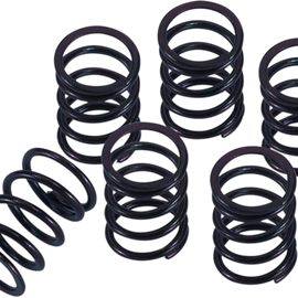 Clutch Spring Kit