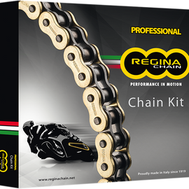 Chain and Sprocket Kit - Honda - CBR600RR - '03-'06