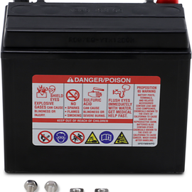 AGM Battery - YTX12