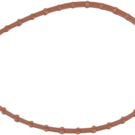 Seal For Fuel Pump Door - FLT