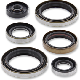 Oil Seals