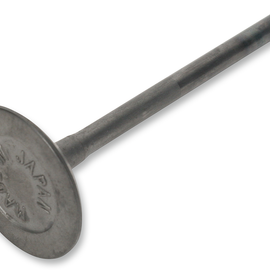 Exhaust Valve