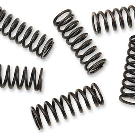 Clutch Spring Kit