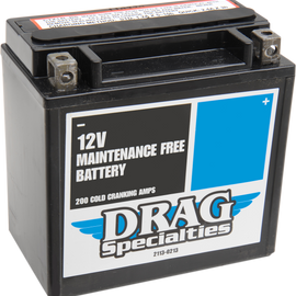 AGM Battery - YTX14LBS