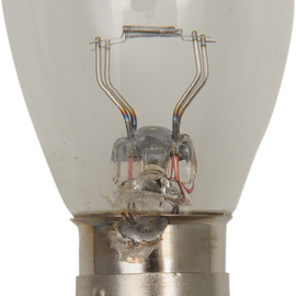 Halogen Bulb