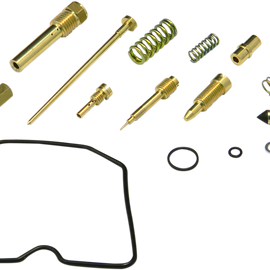 Carburetor Repair Kit - LTF500