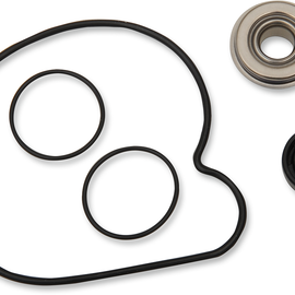Water Pump Rebuild Kit