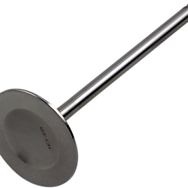 Intake Valve