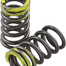 Intake Valve Springs