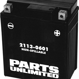 AGM Battery - YTZ8V