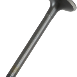 Exhaust Valve