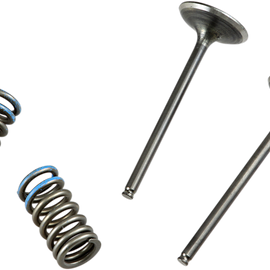 Valve and Spring Kit