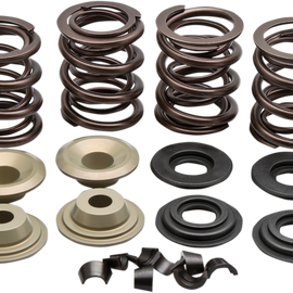 Valve Spring Kit - Big Twin7364266