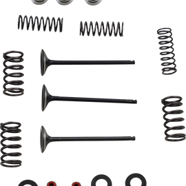 Intake Valve Kit