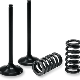 Valve and Spring Kit