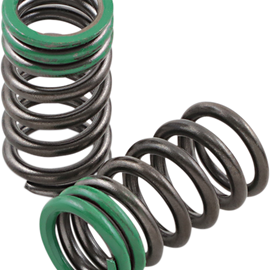 Exhaust Valve Springs