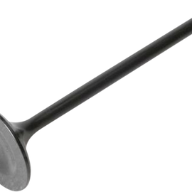 Exhaust Valve