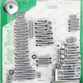 Motor Bolt Set 99-06 FLT