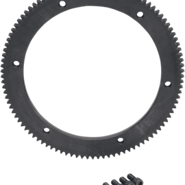 Starter Ring Gear 102 Tooth - Harley Davidson