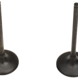 Valve and Spring Kit