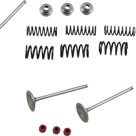 Intake Valve Kit