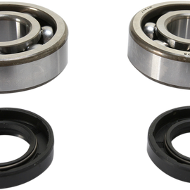 Crank Bearing and Seal Kit