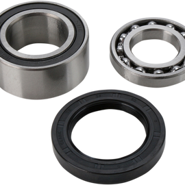 Chain Case Bearing and Seal Kit