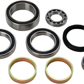 Chain Case Bearing and Seal Kit