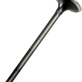 Exhaust Valve