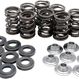 Valve Spring Kit