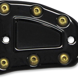 Master Cylinder Cover - Front - Indian - Black Anodized