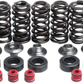 Valve Spring Kit