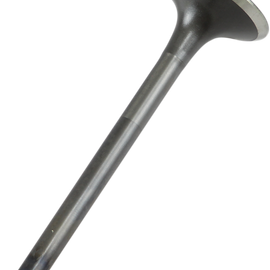 Exhaust Valve