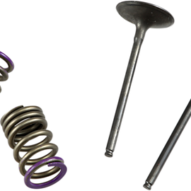 Valve and Spring Kit