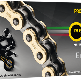 428 ORN Series - Chain - 140 Links