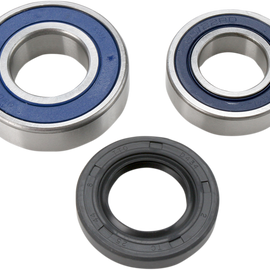 Chain Case Bearing and Seal Kit