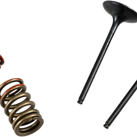 Valve and Spring Kit