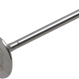 Intake Valve