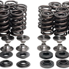 Valve Spring Kit