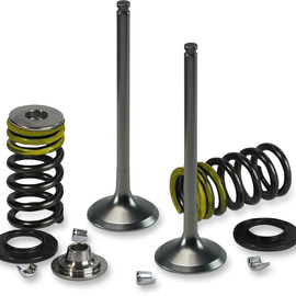 Intake Valve Kit