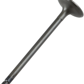 Intake Valve