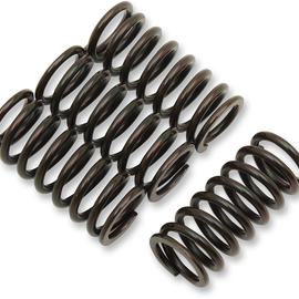 Clutch Spring Kit