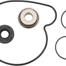 Water Pump Rebuild Kit