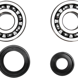 Crank Bearing and Seal Kit