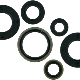 Motor Seals - 65 SX/XC
