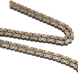 Cam Chain