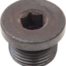 Hex Socket Plug - 18mm x 1.5mm