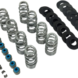 Beehive Valve Spring Kit - M8